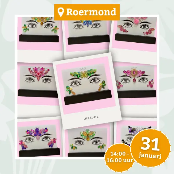 workshop-facejewels-rmd-31-01-600x600-6964b039108ac_n Workshop facejewels BijStox Roermond 31 januari 2026